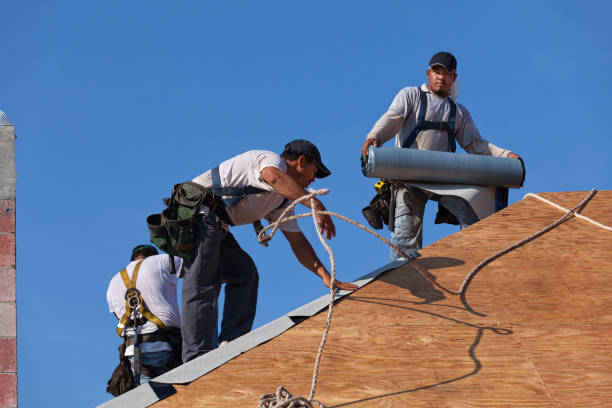 Best Flat Roof Repair Services  in Jackson, MI