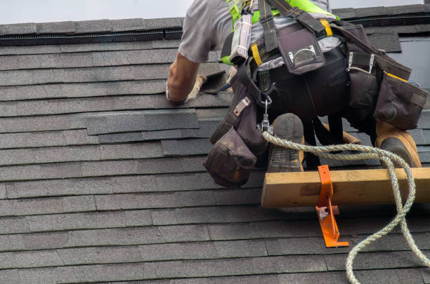 Best Emergency Roof Repair  in Jackson, MI