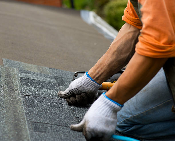 Best Storm Damage Roof Repair  in Jackson, MI