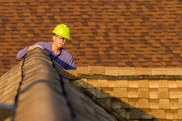 Best Sealant for Roof  in Jackson, MI