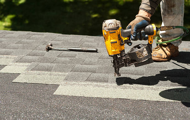 Best Roof Gutter Cleaning  in Jackson, MI