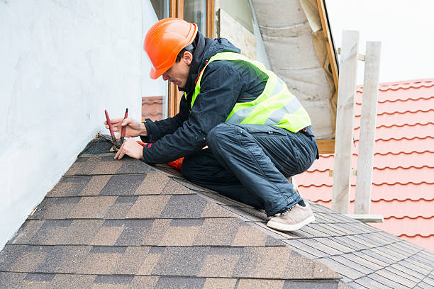 Best Metal Roofing Contractor  in Jackson, MI